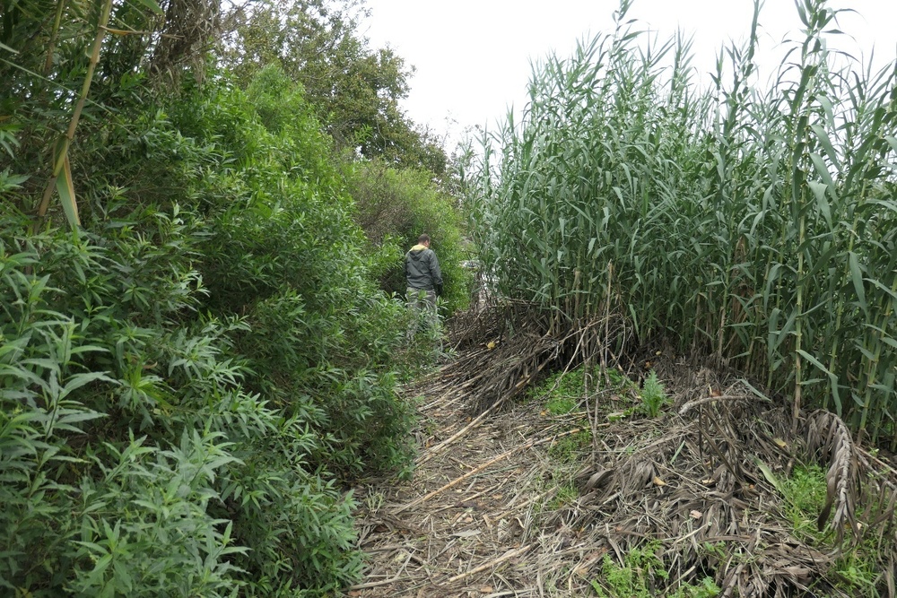 NSA Naples Volunteers Clear the Way