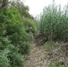 NSA Naples Volunteers Clear the Way