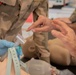 Coalition advises, enables Iraqi medics