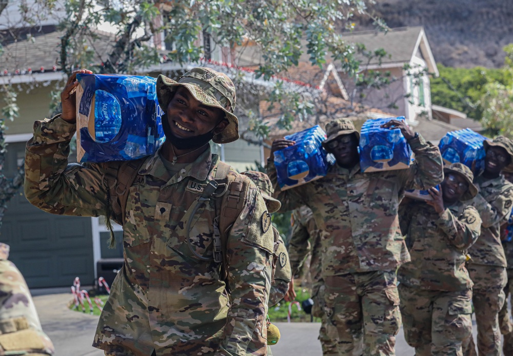 25th Infantry Division Task Force Ohana
