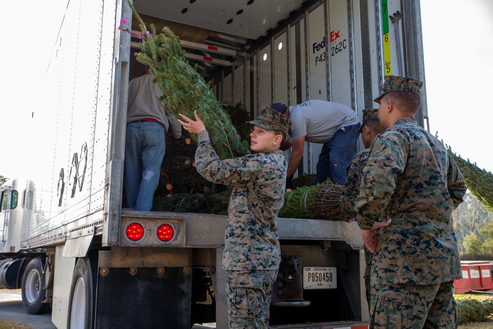 O Christmas tree, O Christmas tree…