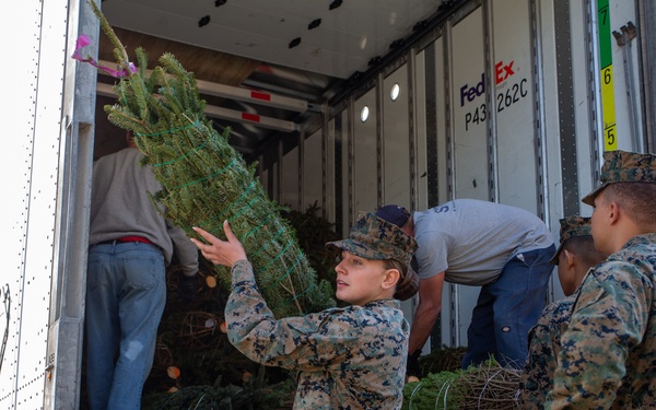 O Christmas tree, O Christmas tree…