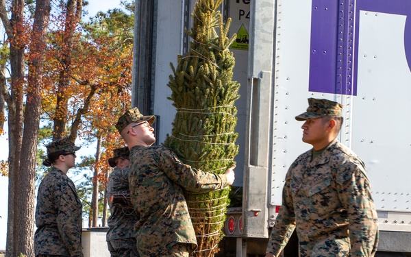 O Christmas tree, O Christmas tree…