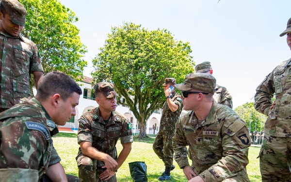 Southern Vanguard 22