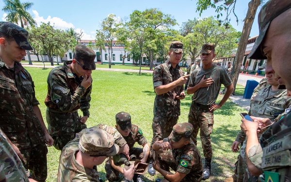 Southern Vanguard 22