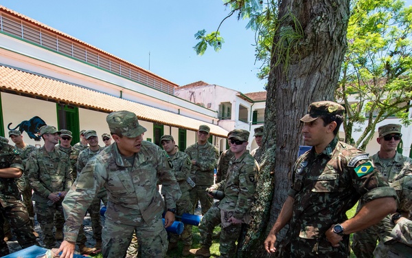 Southern Vanguard 22