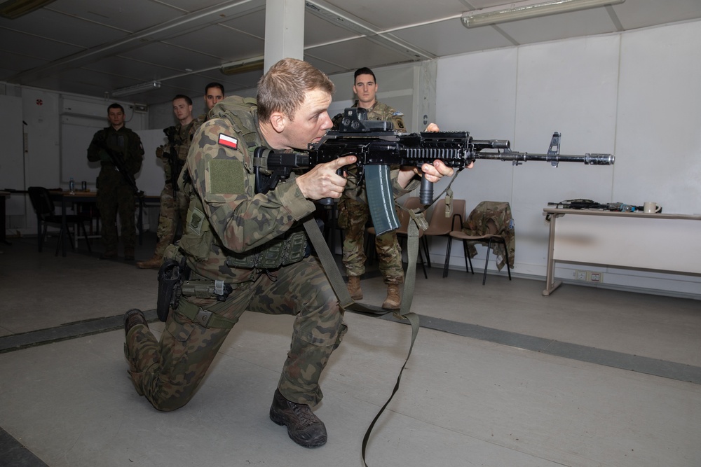 KFOR RC-E Maneuver Battalion Conducts Polish Firearms Training