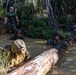 US Navy Seabees with NMCB-5 participate in joint training with Marines at the Basic Jungle Skills Course