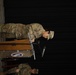 A Company, Special Troops Battalion, 1TSC Change of Command