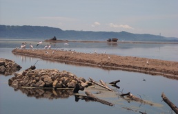 The Upper Mississippi River Restoration program celebrates 35 years