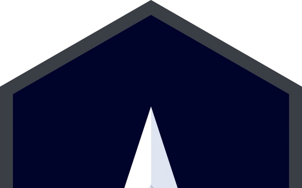 USSF Enlisted Rank Insignia