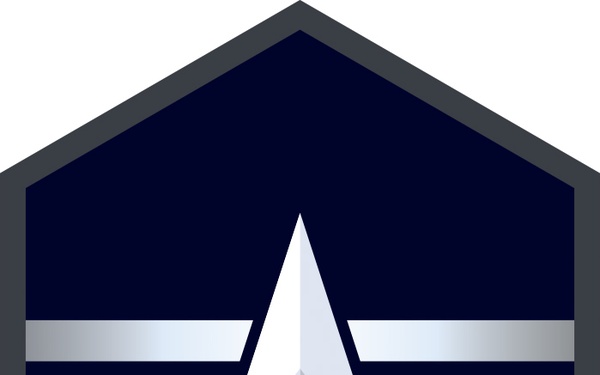 USSF Enlisted Rank Insignia