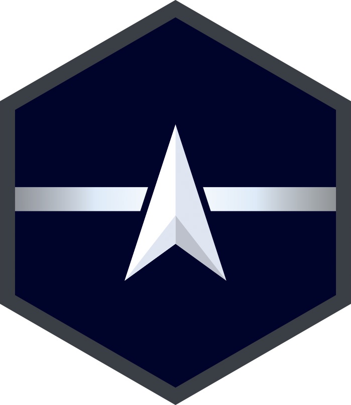 USSF Enlisted Rank Insignia