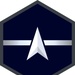 USSF Enlisted Rank Insignia