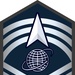 USSF Enlisted Rank Insignia