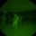 Night Movement