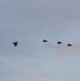 U.S. Air Force F-35’s arrive in Misawa