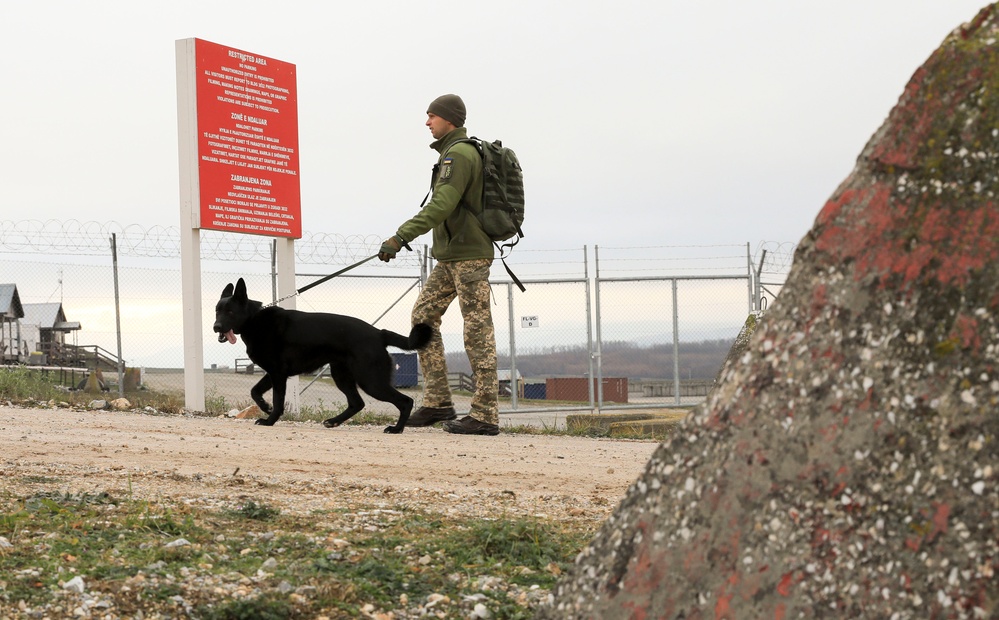 Ruck with the Pack