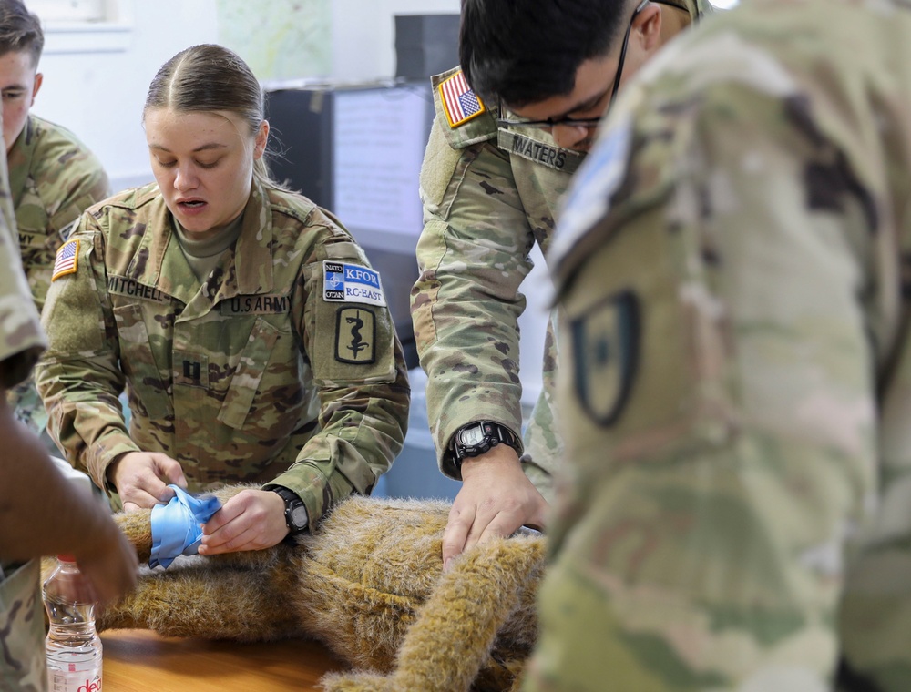 Canine-Tactical Combat Casualty Care Symposium for Task Force Med Combat Medics, Military Dog Handlers, and Allied Forces