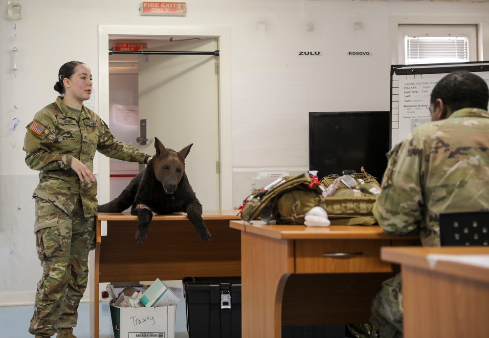 oldiers with KFOR held a 3 day Canine-Tactical Combat Casualty Care Symposium