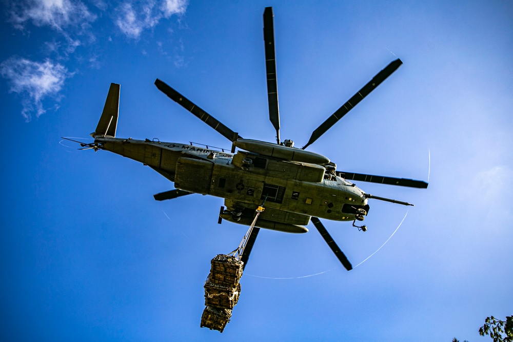 U.S. Marines with 3d LSB and VMM-265 execute external lifts at Jungle Warfare Training Center