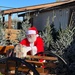 Santa Dave brings joy, helps create memories during holiday season