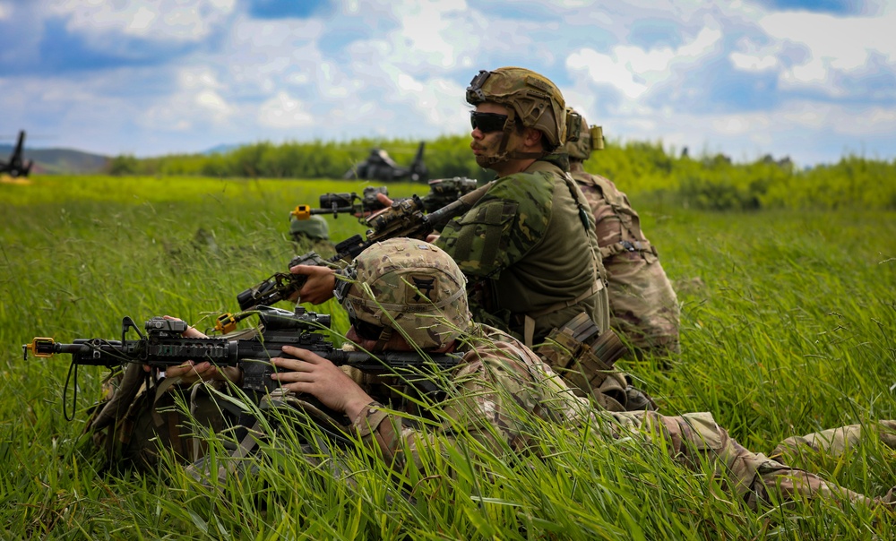 DVIDS - Images - Rakkasans execute Air Assault Operations during ...