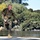 Monterey service members strive for German Armed Forces badge