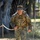 Monterey service members strive for German Armed Forces badge
