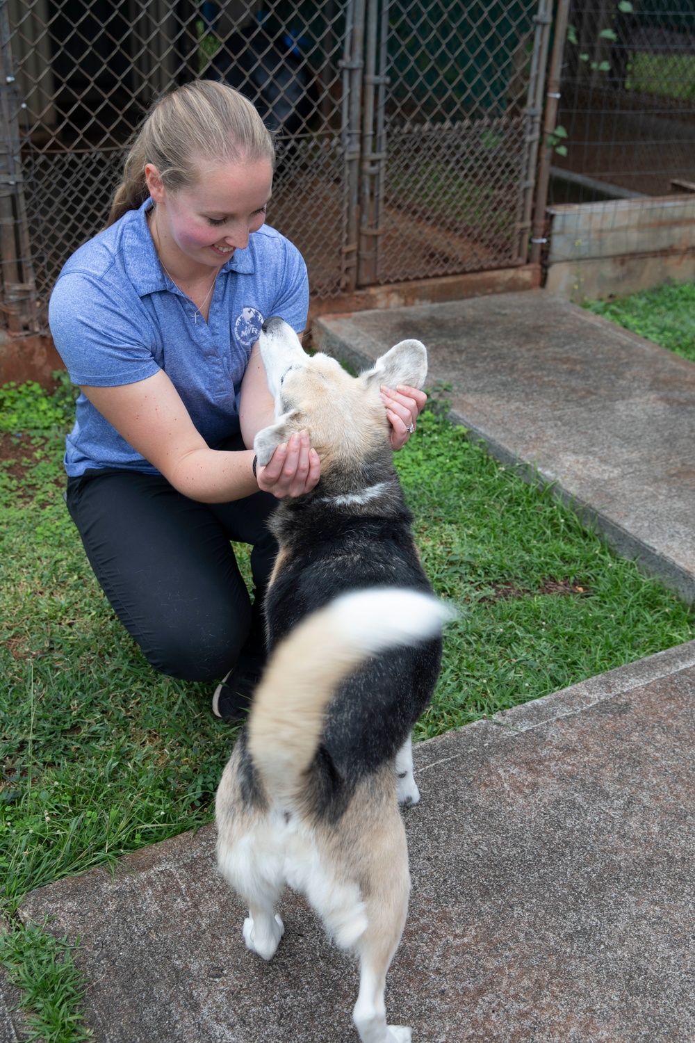 Task Force Ohana Morale, Welfare, and Recreation Pet Care