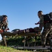 18th SFS Defenders battle for glory