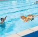 Pool season closes with Dog Splash