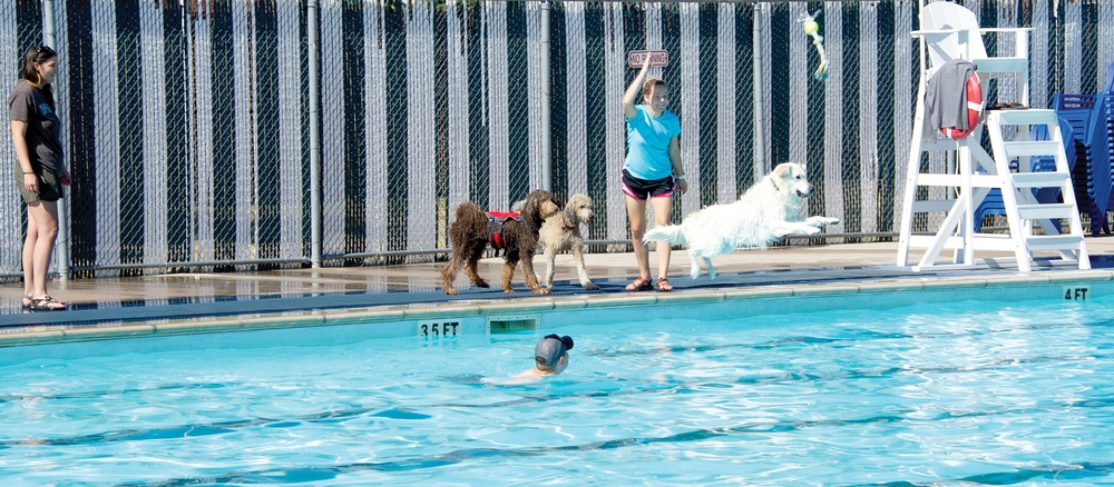 Pool season closes with Dog Splash