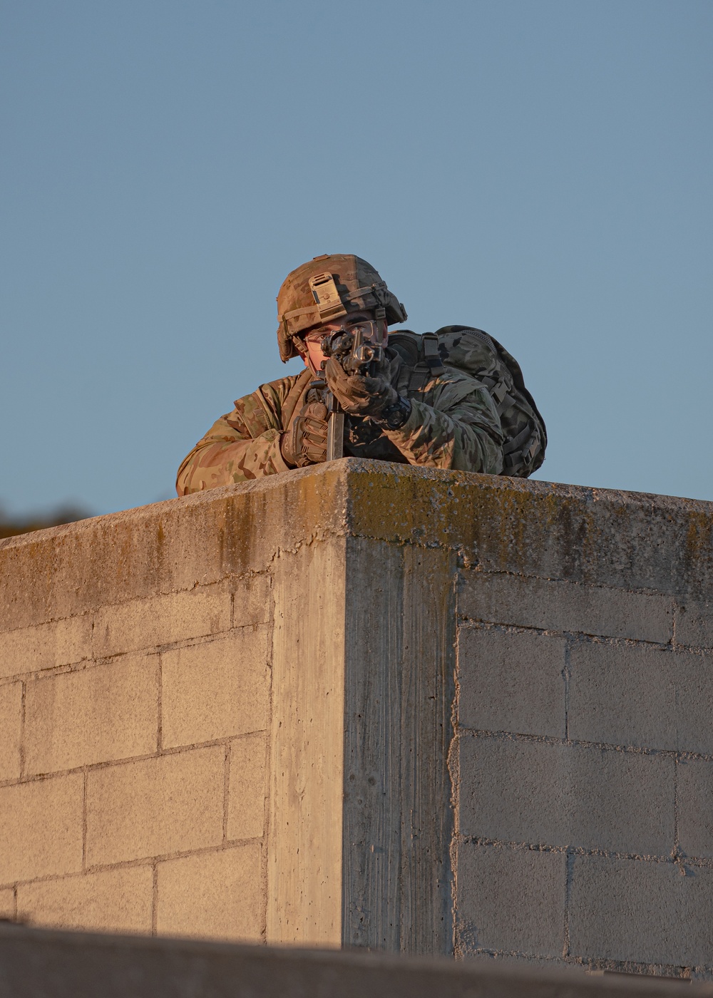 Village Watchman