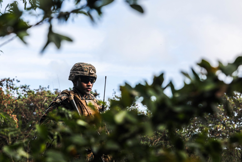 2-14 CAV, 25ID and 3/3 Marines Conduct Joint Deployment Readiness Exercise