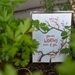 Thyme to spread happiness