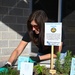 Thyme to spread happiness