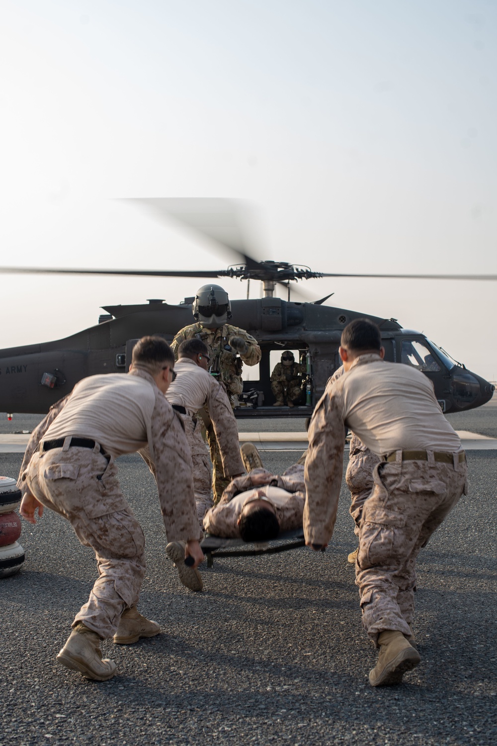 11TH MEU BLT conduct casualty evacuation training