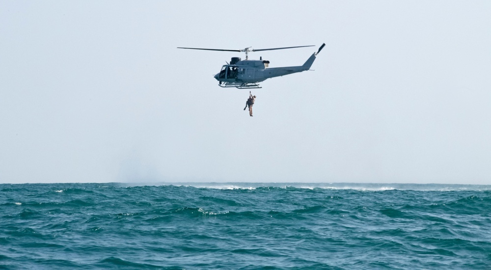 Exercise Bull Shark