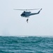 Exercise Bull Shark