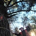 Century-old tree documented in Fort McCoy’s Pine View Recreation Area