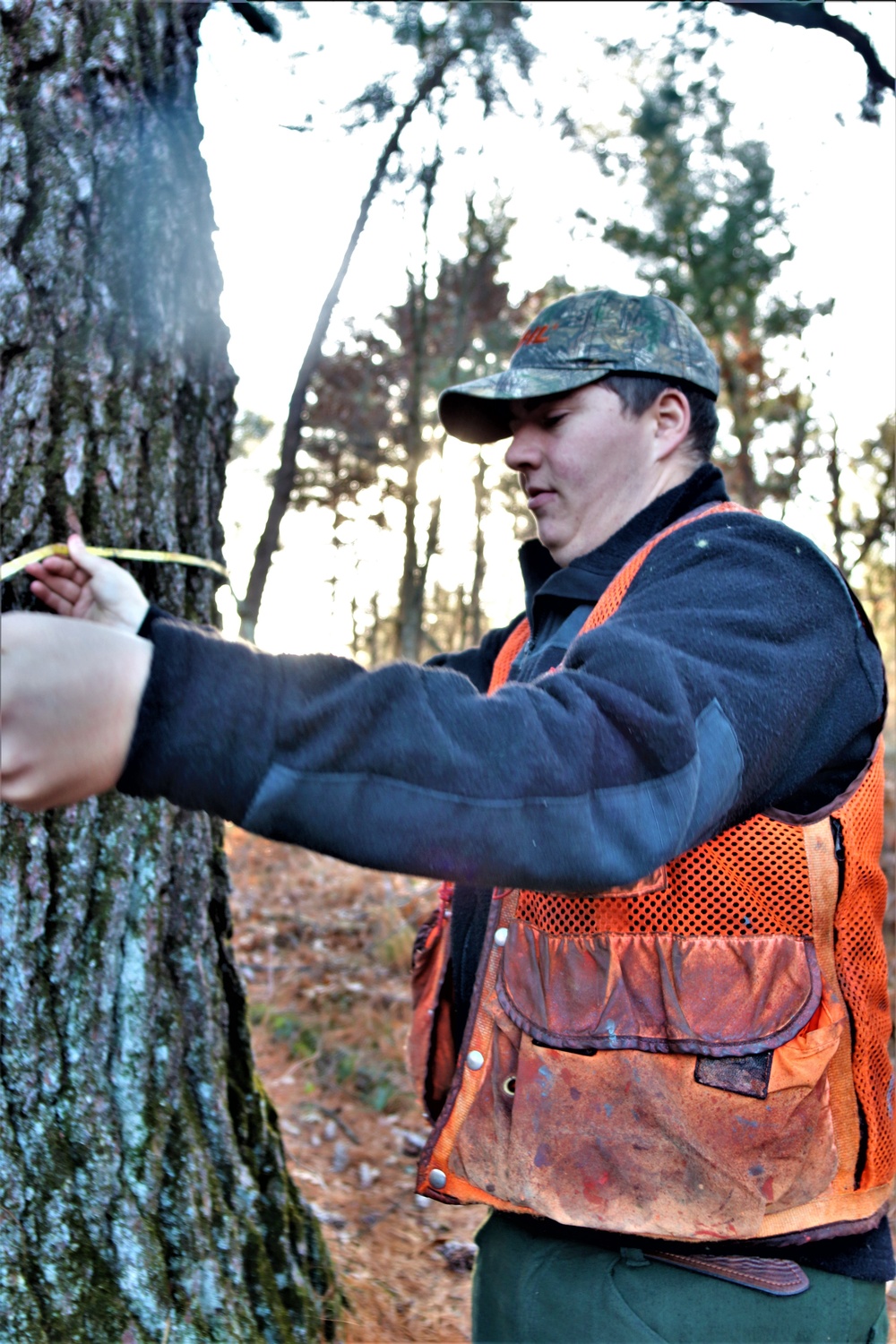 Century-old tree documented in Fort McCoy’s Pine View Recreation Area