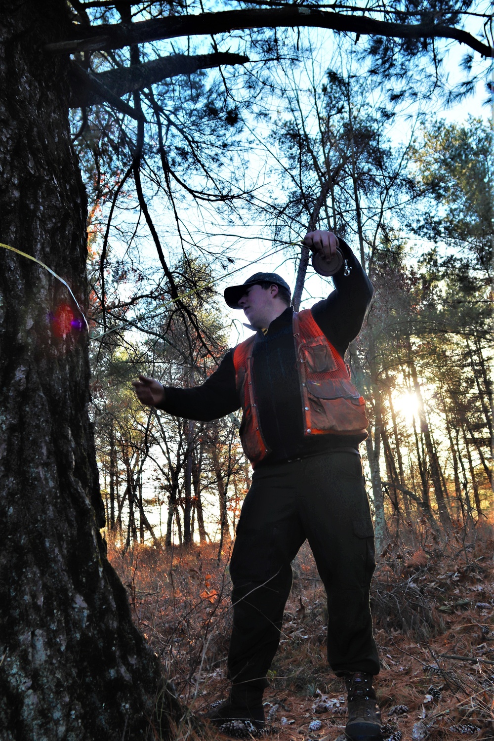 Century-old tree documented in Fort McCoy’s Pine View Recreation Area