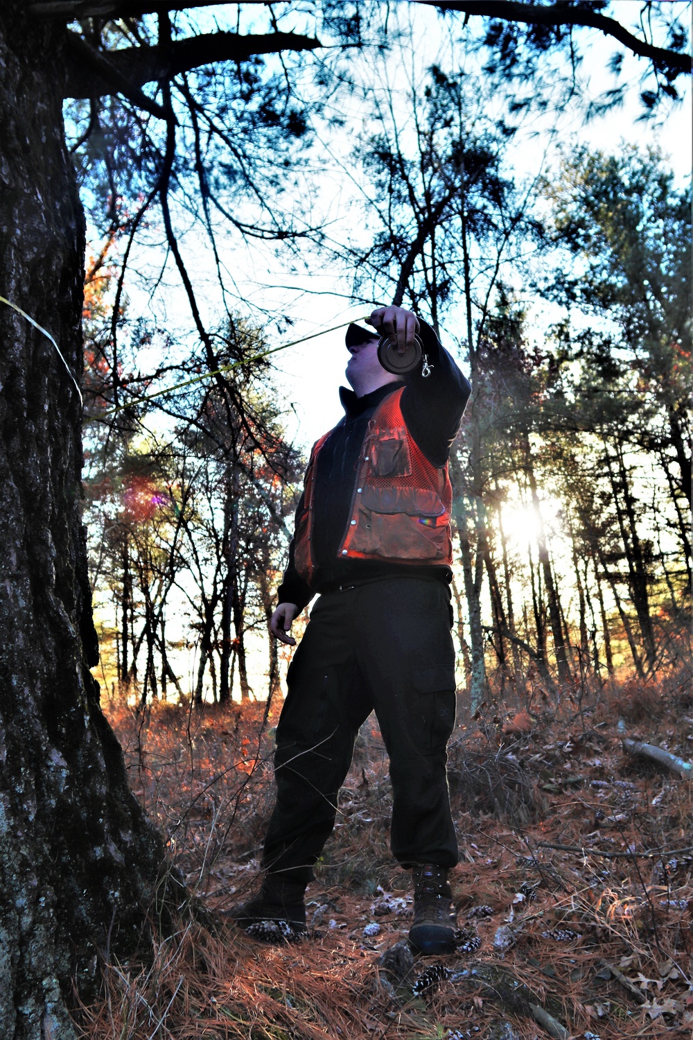 Century-old tree documented in Fort McCoy’s Pine View Recreation Area