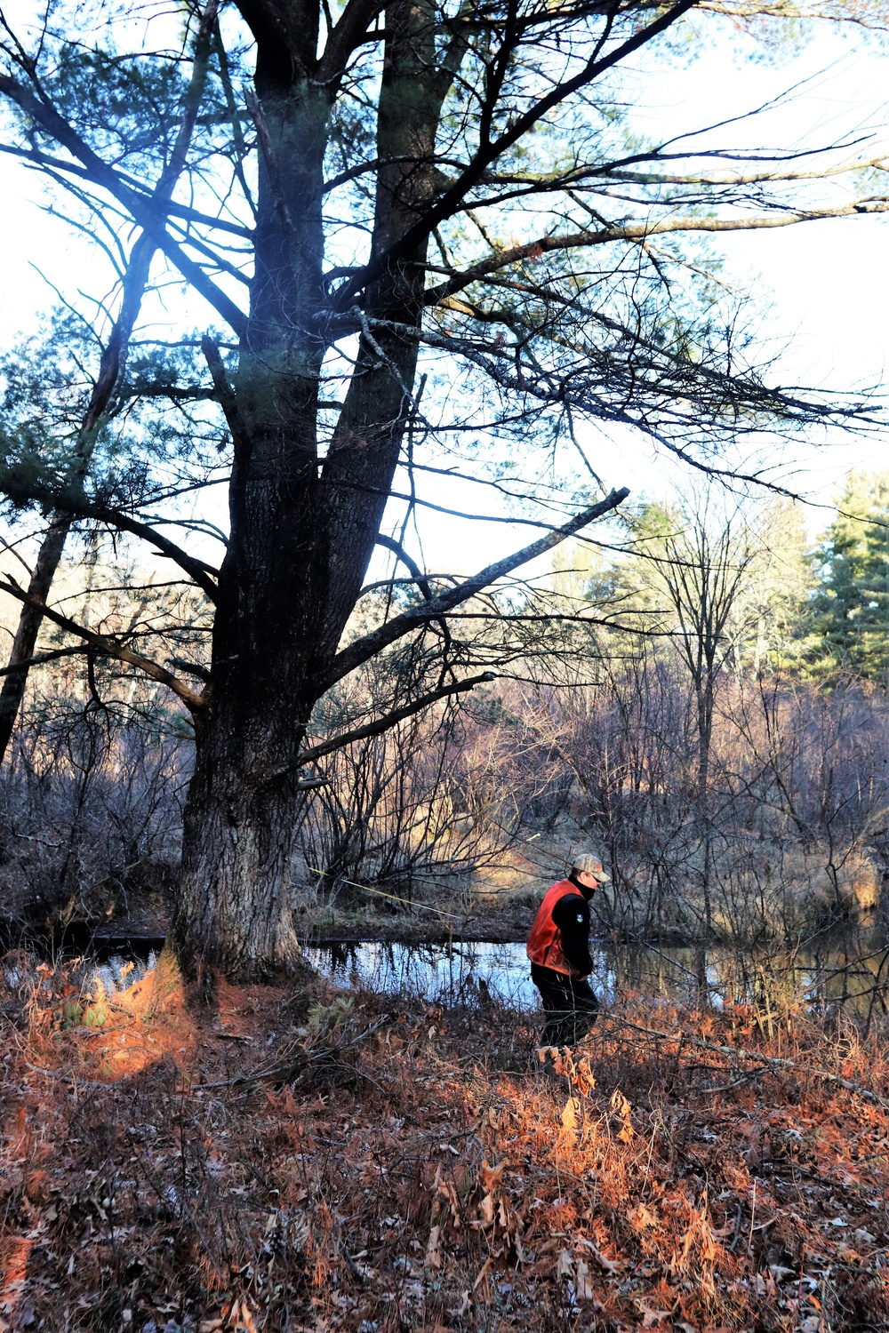 Century-old tree documented in Fort McCoy’s Pine View Recreation Area