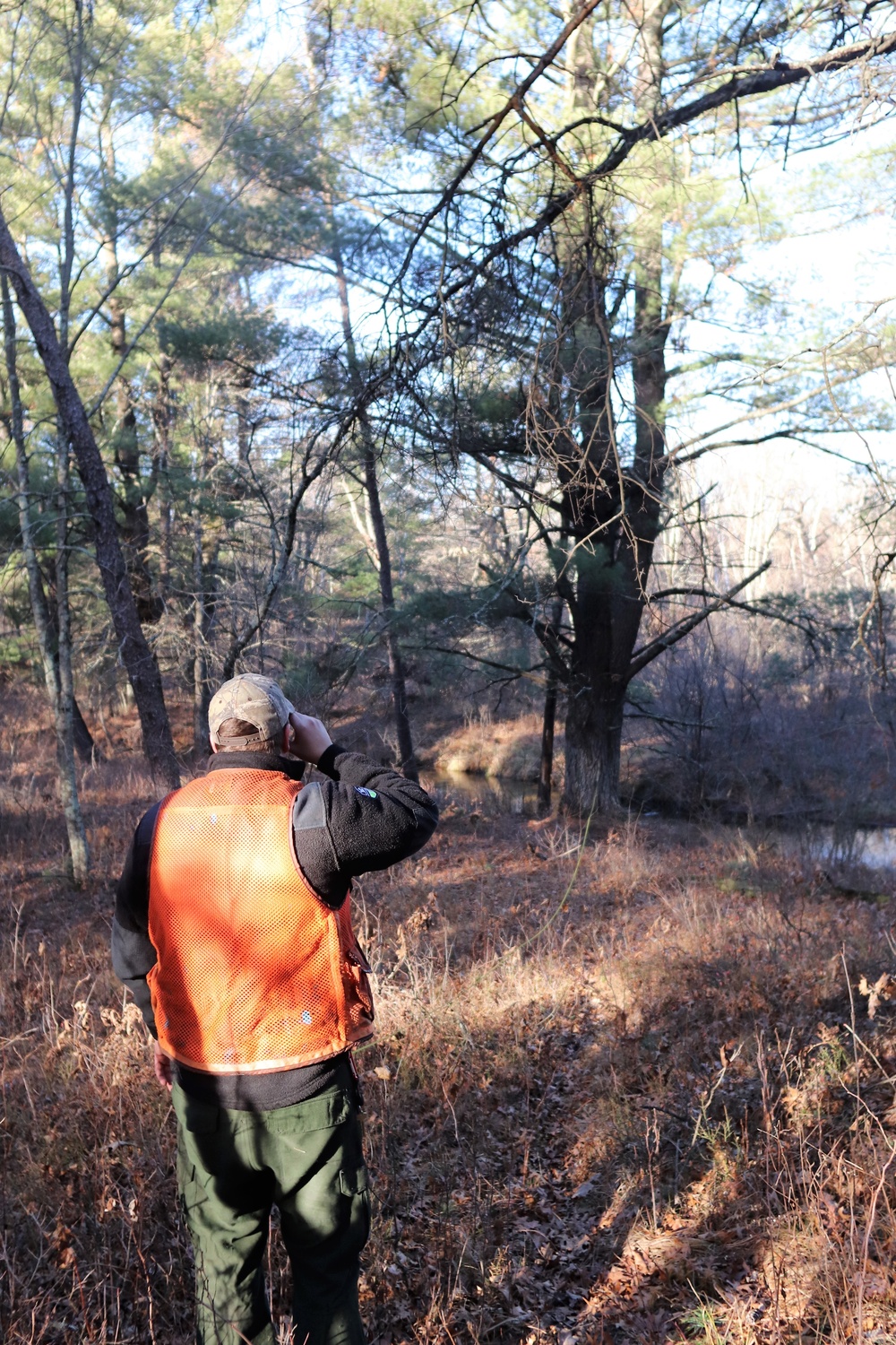 Century-old tree documented in Fort McCoy’s Pine View Recreation Area