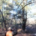 Century-old tree documented in Fort McCoy’s Pine View Recreation Area