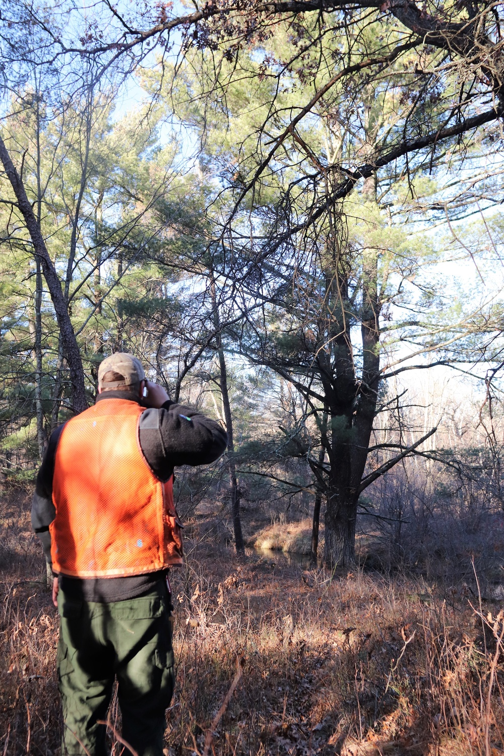 Century-old tree documented in Fort McCoy’s Pine View Recreation Area