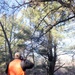 Century-old tree documented in Fort McCoy’s Pine View Recreation Area