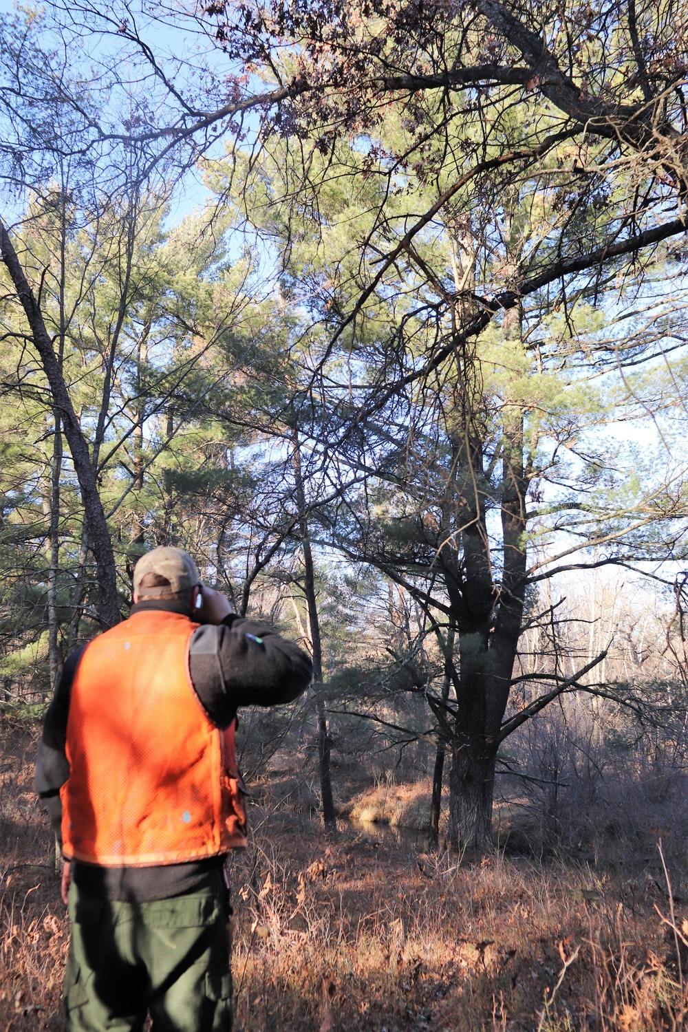 Century-old tree documented in Fort McCoy’s Pine View Recreation Area